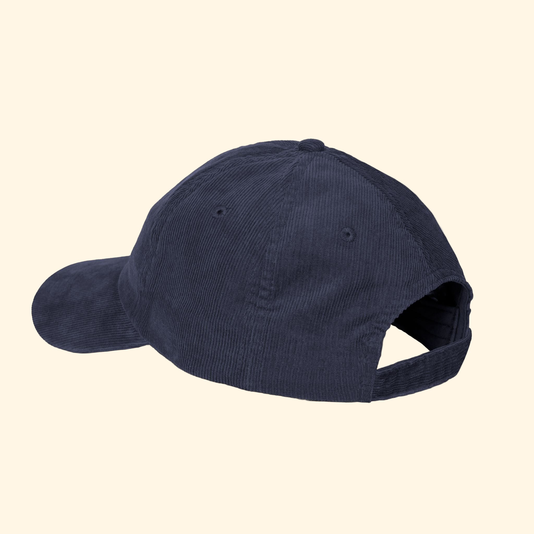 Big Fan of Human Rights Vintage Corduroy Cap