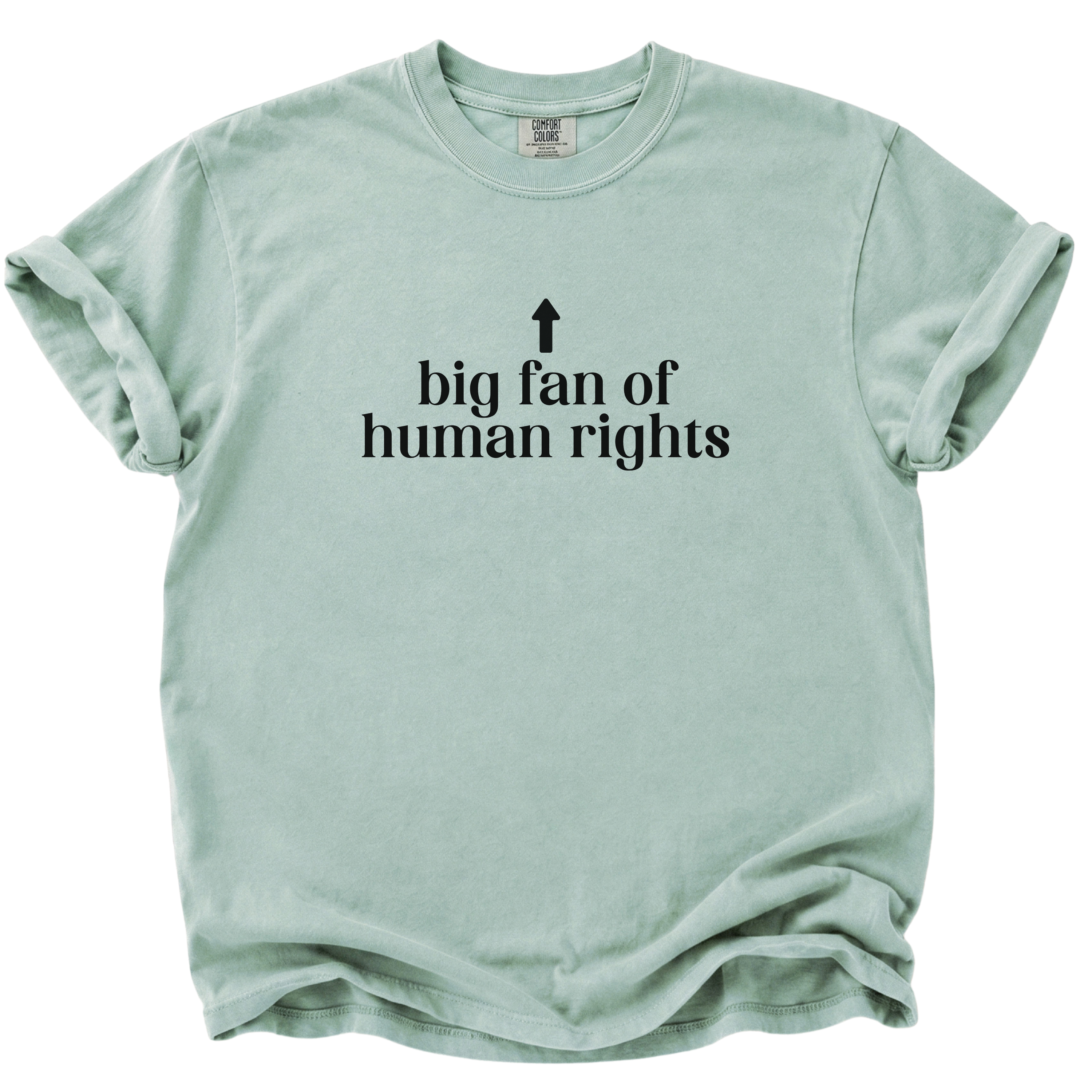 Big Fan of Human Rights T-Shirt