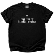 Big Fan of Human Rights T-Shirt