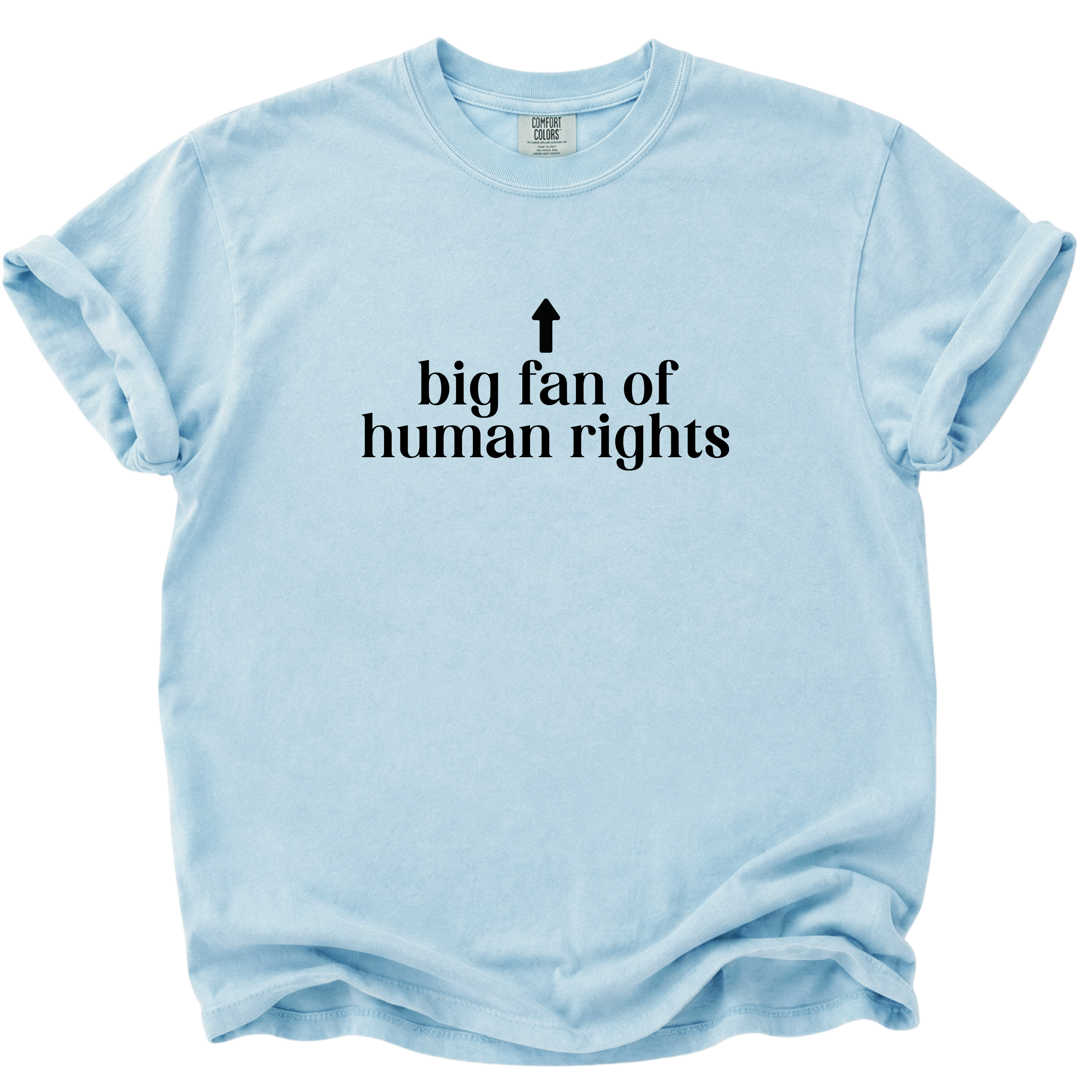 Big Fan of Human Rights T-Shirt