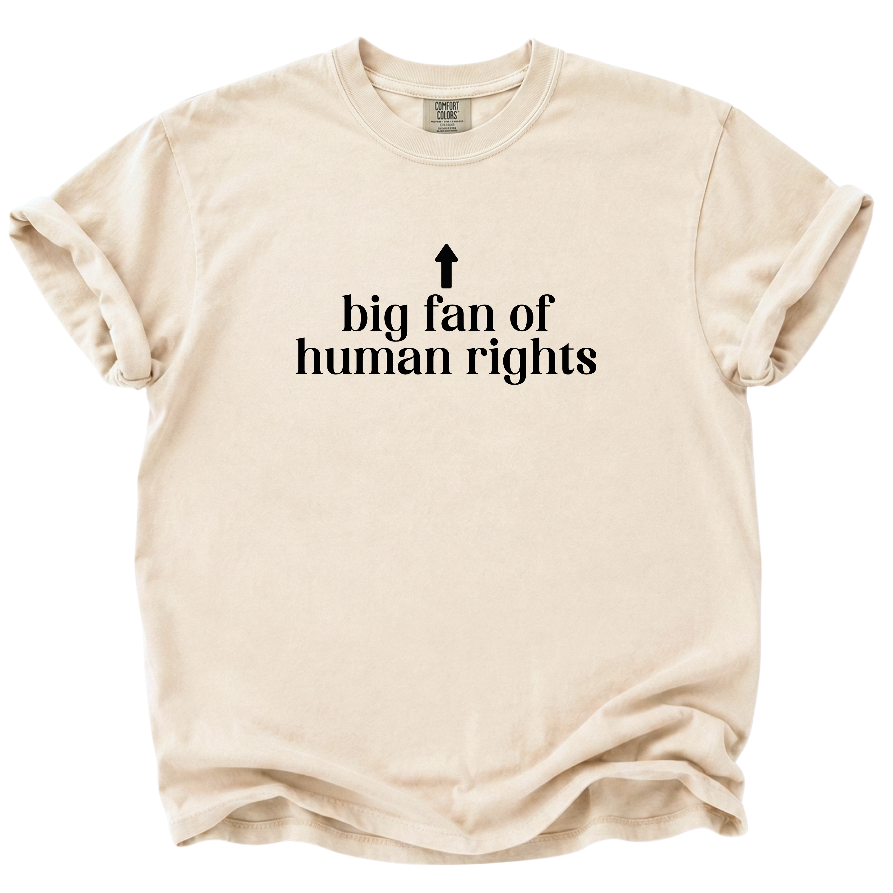 Big Fan of Human Rights T-Shirt