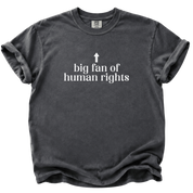 Big Fan of Human Rights T-Shirt