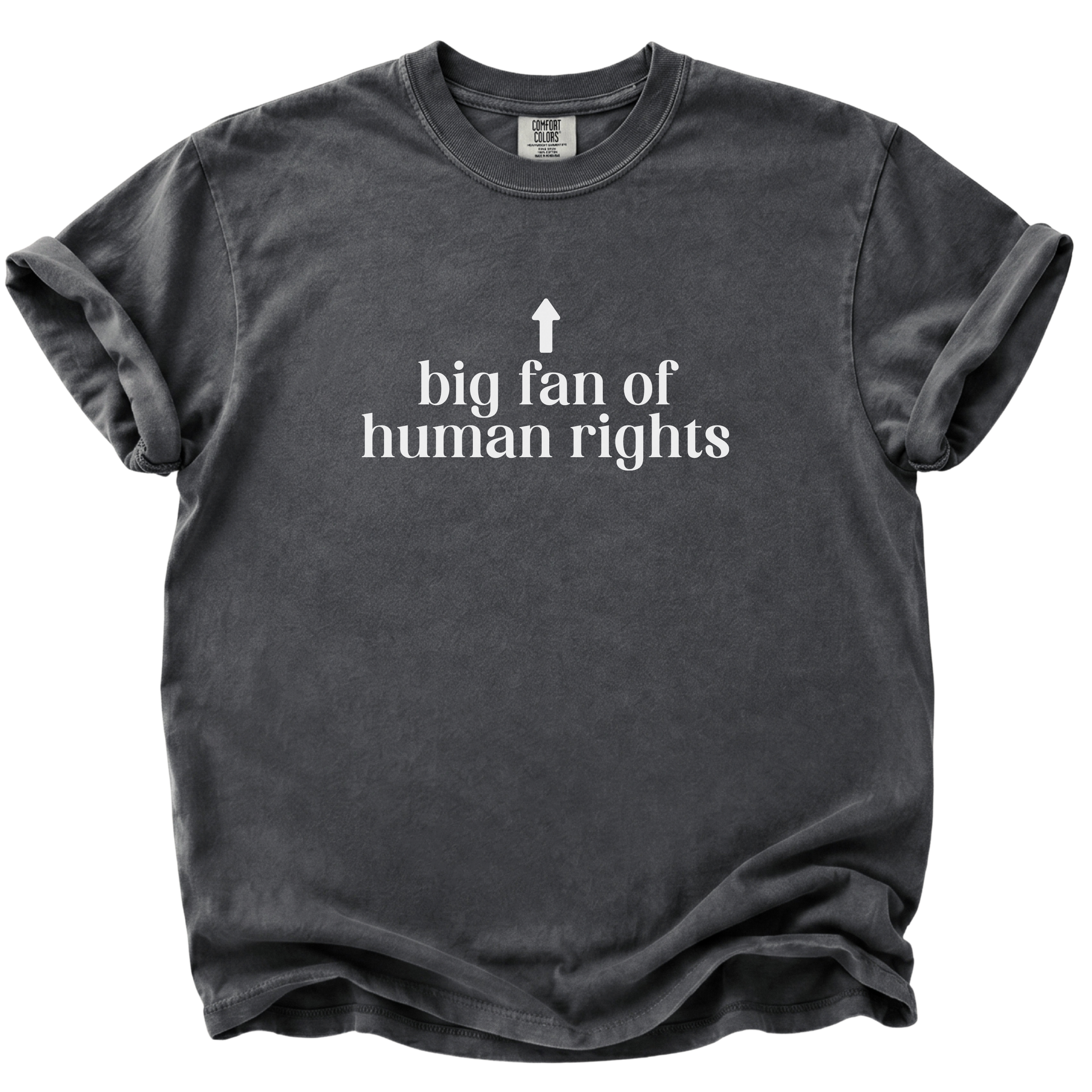 Big Fan of Human Rights T-Shirt