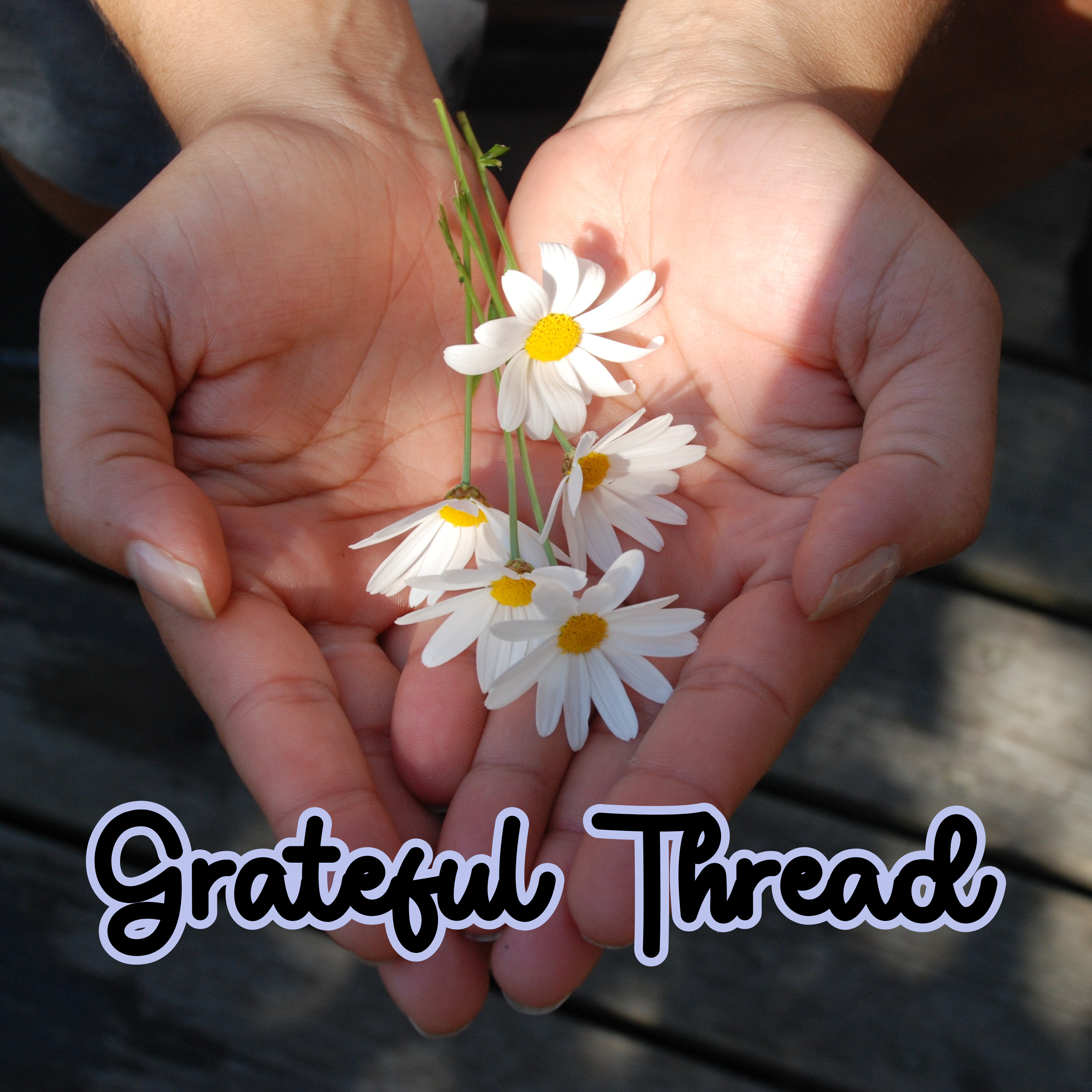 Grateful_Thread_Daisy.png