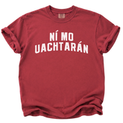 Irish Not My President T-Shirt