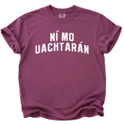 Irish Not My President T-Shirt