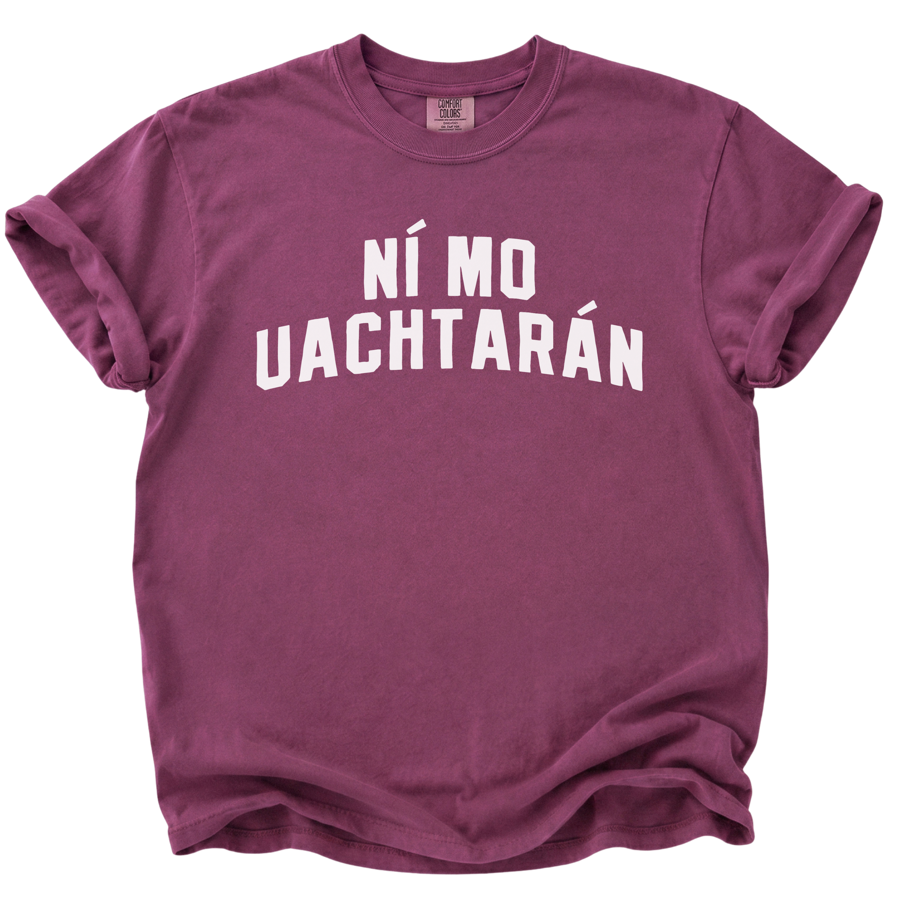 Irish Not My President T-Shirt
