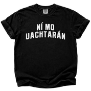 Irish Not My President T-Shirt