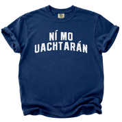 Irish Not My President T-Shirt