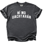 Irish Not My President T-Shirt