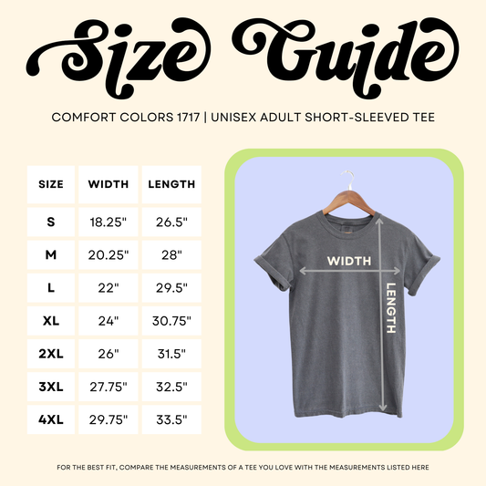 Democracy Est 1776 T-Shirt