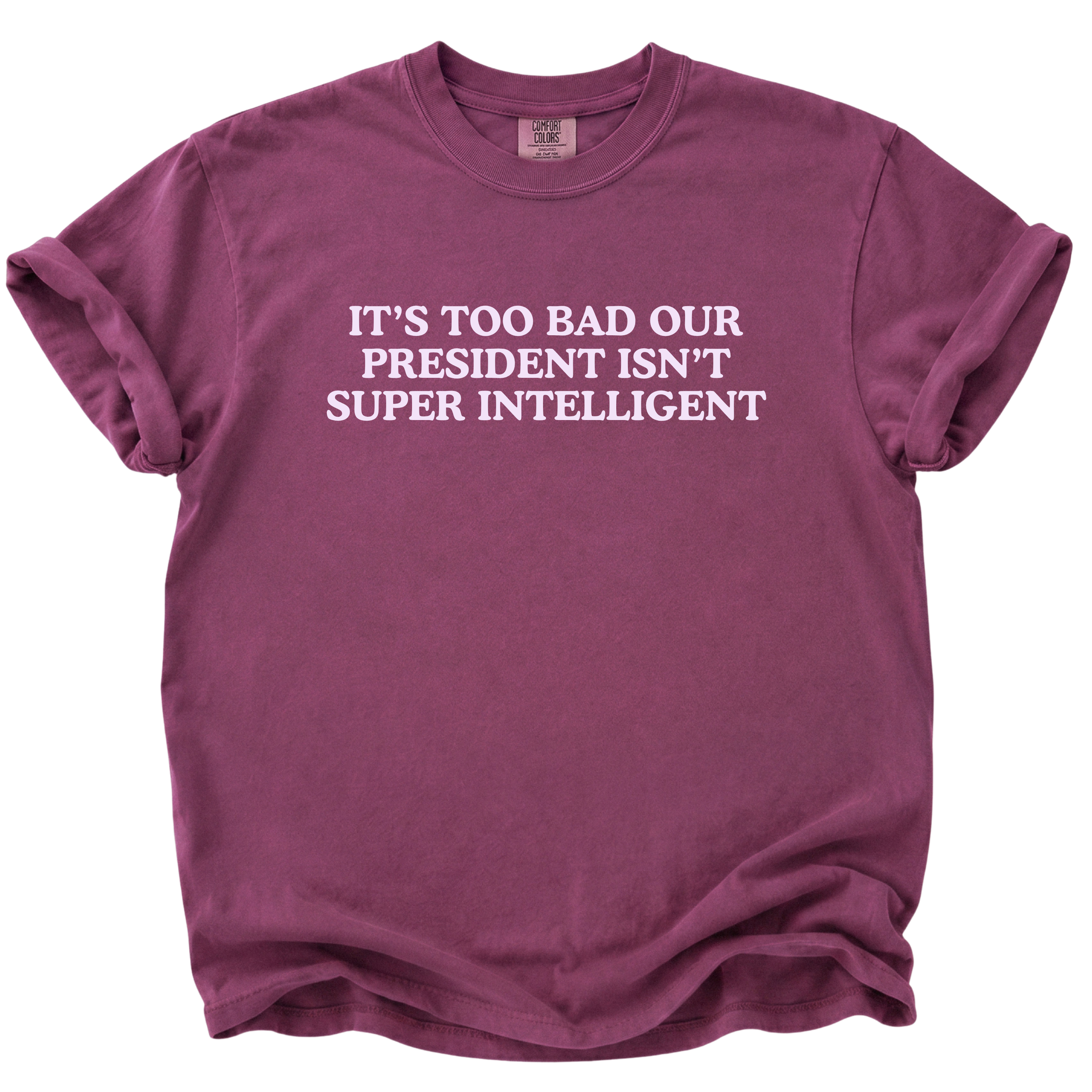 Too Bad Our President Isn't Super Intelligent T-Shirt